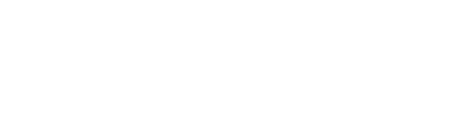 Elzen Beauty Logo